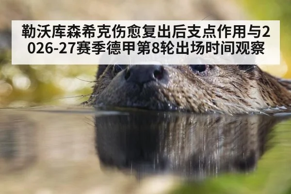 勒沃库森希克伤愈复出后支点作用与2026-27赛季德甲第8轮出场时间观察